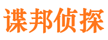 龙子湖市侦探调查公司